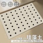 珪藻土バスマット ソフト 速乾 珪藻土マット 風呂 浴室 洗える 吸水 速乾 滑り止め かわいい 大きいサイズ ノンアスベスト 柔らか 大判 おしゃれ バスマット