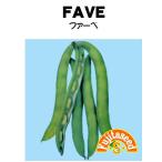 野菜 タネ 種 ファーベ 藤田種子