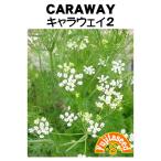 трава tane вид Cara way 2 глициния рисовое поле семена 