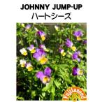 ハーブ タネ 種 ハートシーズ 藤田種子
