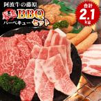 ショッピング焼肉 焼肉セット 厳選 BBQ バーベキュー セット 2.1kg 黒毛和牛 国産豚肉 国産若鶏 豚ホルモン ウィンナー 合計6品入り メガ盛り