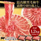 ショッピング牛肉 黒毛和牛 霜降り 切り落とし 400g×3パック 合計1.2kg すき焼き 肉 牛肉 国産 最高級 和牛 すき焼き肉 メガ盛り グルメ 食品 爆買