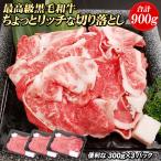 黒毛和牛 ちょっとリッチな切り落とし 900g（300g×3パック） 黒毛和牛 切り落とし 牛肉 国産 すき焼き 肉
