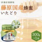 国産はちみつ いたどりのハチミツ 藤原国産蜂蜜 300g ガラス瓶入り 創業百二十余年老舗藤原養蜂場