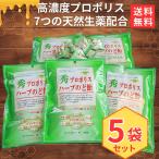 プロポリスハーブのど飴60g入 5個セット キャンディ アメ ドロップ 生薬 入柑橘エキス 高麗人参
