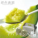 ショッピング果物 メロン 果物 茨城県産 イバラキング 2玉（約1.2kg）