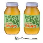 （同梱・代引不可）鈴木養蜂場　はちみつ　大瓶2本セット(菜の花1.2kg、レンゲ1.2kg、はちみつスプーン)