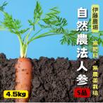 無農薬・無化学肥料人参S品（ジュ