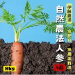 無農薬・無化学肥料人参S品（ジュ
