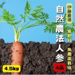 無農薬・無化学肥料人参A品 4.5kg【