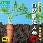 無農薬・無化学肥料人参B品 2kg【伊�