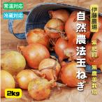 ショッピング玉ねぎ 玉ねぎ 2kg【伊藤農場】