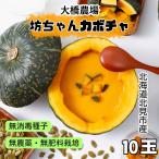 無農薬・無肥料・無消毒種子坊ちゃ