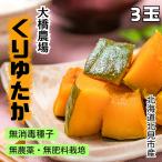 無農薬・無肥料・無消毒種子カボチ