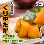 無農薬・無肥料・無消毒種子カボチ