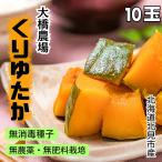 無農薬・無肥料・無消毒種子カボチ