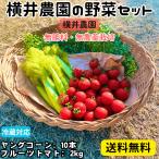 ширина . сельское хозяйство .. овощи комплект Young кукуруза 10шт.@ фрукты помидор 2kgl Hokkaido природа культивирование культивирование период средний пестициды не использование средний шар помидор кожа имеется сырой прямая поставка от производителя рефрижератор рейс ваш заказ 