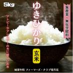 無農薬・無化学肥料ゆきひかり玄米 5kg【ファーマーズ・クラブ雪月花】