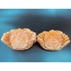  шерсть .650g×2