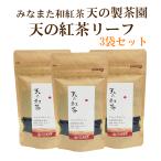 紅茶 みなまた和紅茶 天の紅茶 リーフ 送料無料 茶葉 40g 3袋 セット 天の製茶園