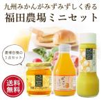 お試し ポイント消化 デコポン 甘夏 ジュース ジャム ドレッシング 送料無料