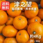  Цу .. мандарин примерно 4kg. дом для бесплатная доставка ( Tohoku Hokkaido за исключением ) Kumamoto Fukuda сельское хозяйство место 20 шар из 30 шар передний и задний (до и после) M из L размер 