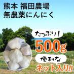 熊本産 にんにく 博多六片 500g 農薬不使用 国産