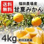 甘夏 みかん 訳あり ご自宅用 4kg 10玉前後 完熟みかん 熊本県産