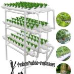  гидропонная культура комплект овощи культивирование комплект .... культивирование комплект салон клубника огород гидропонная культура комплект посадочная машина 108 дыра 