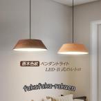 ペンダントライト 照明器具 LED おしゃれ 北欧 天井 オシャレ シンプル ダイニング リビング キッチン カフェ 喫茶店 新築 錆止め 1灯 鉄芸 おすすめ