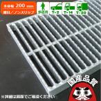 側溝用 溝蓋 側溝蓋 グレーチング蓋 規格 細目 ノンスリップタイプ 溝幅100サイズ用 歩道用〜T-20 OKGX-P3 20-25 日本製