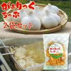 【 ガーリックチップ 】(１袋60g２個)  送料無料 にんにく 調味料 ガーリック スパイス ハーブ フライドガーリック おつまみ プレゼント 敬老の日