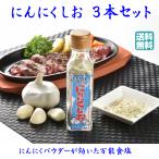 【 にんにくしお  】 1瓶120g３本 ガ