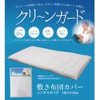  clean защита одиночный . покрытие IV 105X215 1200820146020