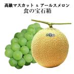  автомобиль in мускат большой 1.&a-rus дыня большой шар 1 шар дыня ... комплект подарок фрукты фрукты набор фрукты комплект . средний изначальный . лет .....