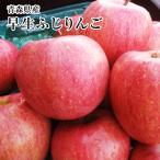 [. сырой Fuji яблоко ] Special превосходящий большой шар 6 шар несессер Aomori Nagano яблоко фрукты подарок фрукты комплект 