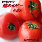 .. рубин фрукты помидор 200g× 12 упаковка ввод несессер фрукты midi помидор Fukui ... рубин ...