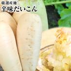 辛味だいこん１ケ−ス　蕎麦職人さんも唸る！！⇒送料無料　大根・薬味・大根おろし・年越しそば・越前そばに