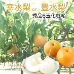  груша превосходящий большой шар 6 шар несессер ввод Fukui * Ishikawa * Nagano префектура производство [. вода груша ] кроме того, [. вода груша ] 9 месяц сверху ... около из . вода груша фрукты подарок несессер мир груша нет нет 