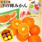  мандарин [ Цу. блестящий ].. .... примерно 1.5K рука .. несессер фрукты подарок .. Цу. блестящий .. .... мандарин фрукты фрукты Kiyoshi видеть × Anne call язык гол 