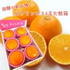 新商品【紅プリンセス】優品 6玉入り化粧箱 愛媛県産 期間限定商品 紅まどんな と甘平みかんの掛け合わせ かんぺい 紅マドンナ 3月だけの期間限定