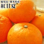 [.. лето ] превосходящий товар примерно 5kg........ Кагосима * Kumamoto префектура производство меласса . мандарин ..... лето 