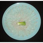 [ старый магазин название магазин. тест ] подлинный .. море ..... sashimi 1~2 порции * комплект товар . включение в покупку .2000 иен скидка 