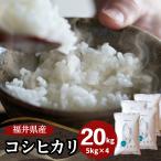 米 コシヒカリ 20kg 5kg×4袋 福井県産 白米 令和6年産 送料無料