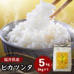 米 5kg ピカツンタ 福井県産 お米 白米 令和5年産 送料無料