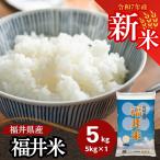 新米 米 5kg 送料無料 福井米 福井県産100% 白米 令和7年産