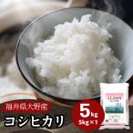 米 5kg コシヒカリ 福井県大野産 白米 令和6年産 送料無料