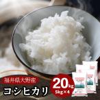 米 20kg 5kg×4袋 コシヒカリ 福井県大野産 白米 令和6年産 送料無料