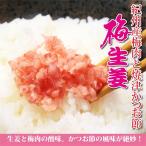 ショッピング訳あり 在庫処分 食品 コロナ お歳暮 お歳暮ギフト 御歳暮 歳暮  (ネコポス送料無料)梅生姜100g×3袋 SP  お年賀 年賀  御年賀 送料無料 高級 ギフト 人気 おすすめ 詰め合わせ