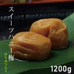 お歳暮 お歳暮ギフト 御歳暮 歳暮  (はちみつ入紀州南高梅 塩分６％ 送料無料)お徳用 スイーツハニー梅 Ａ級 ３Ｌ １.２Kｇ(smtb-k)(w3)  お年賀 年賀